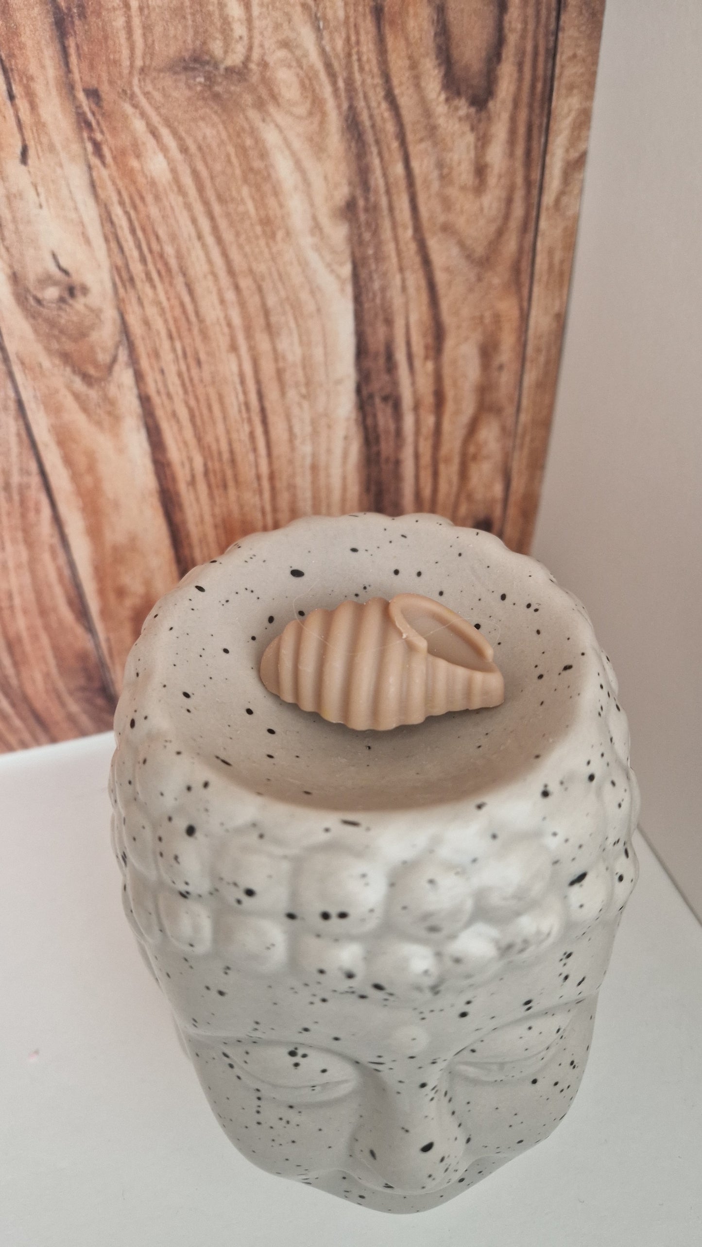 Coquillage