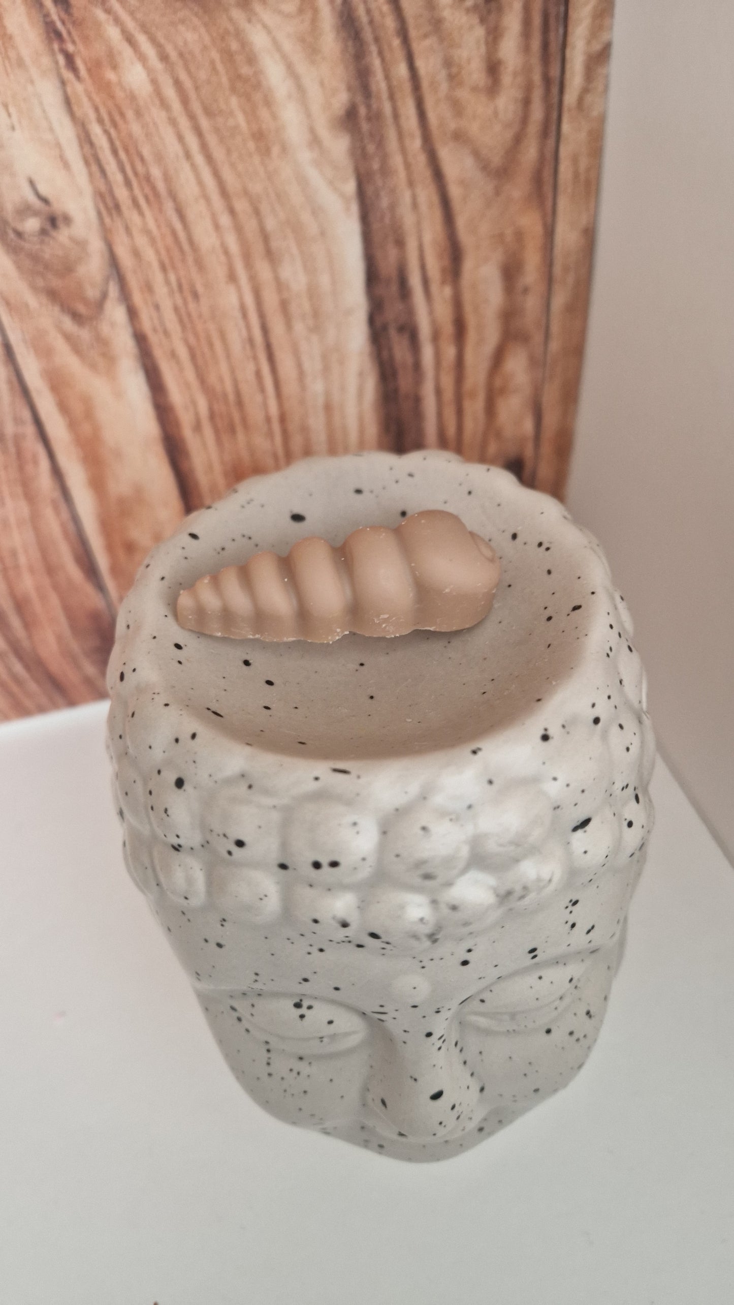 Coquillage